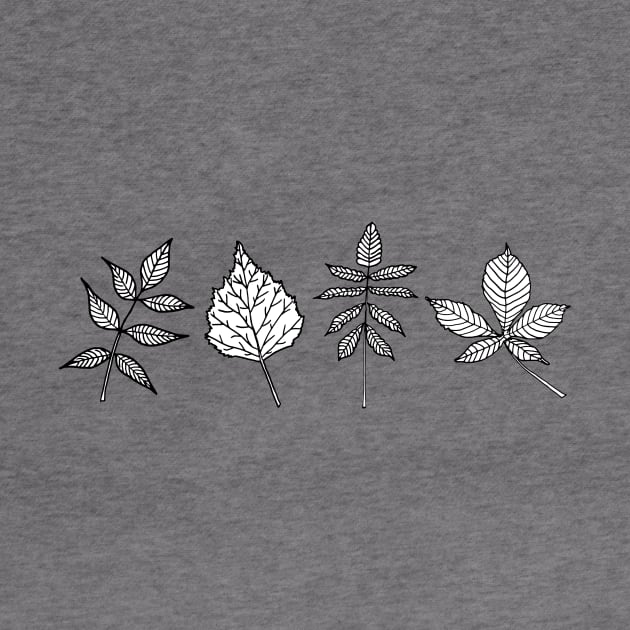 Bundle of leaves by ckai